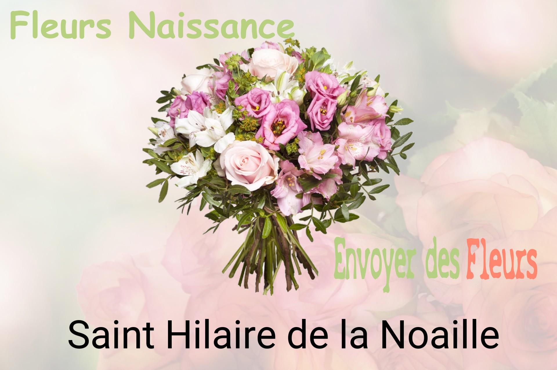 Bouquet de fleurs de naissance livré à Saint-Hilaire-de-la-Noaille