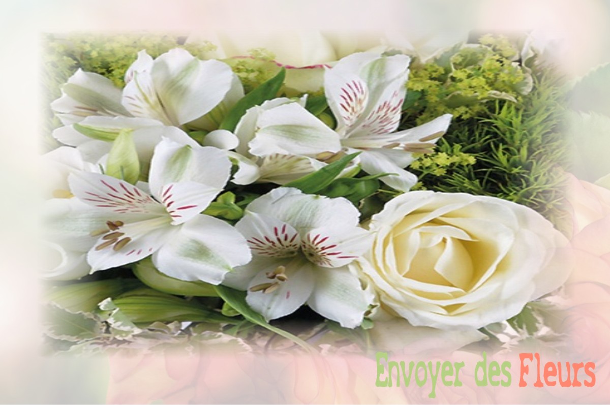 envoyer des fleurs à à SAINT-HILAIRE-DE-LA-NOAILLE