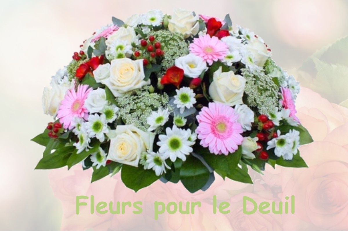 fleurs deuil SAINT-HILAIRE-DE-LA-NOAILLE